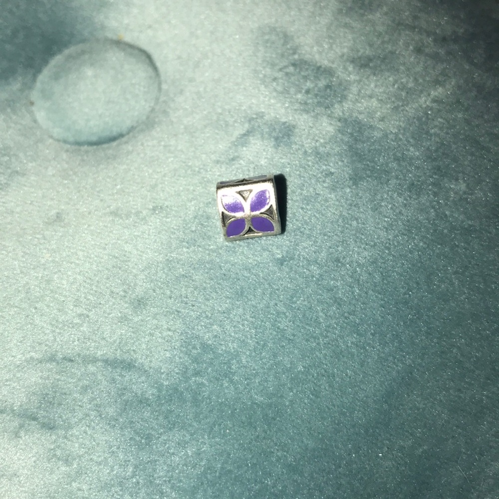 Pandora Bracelet Charm